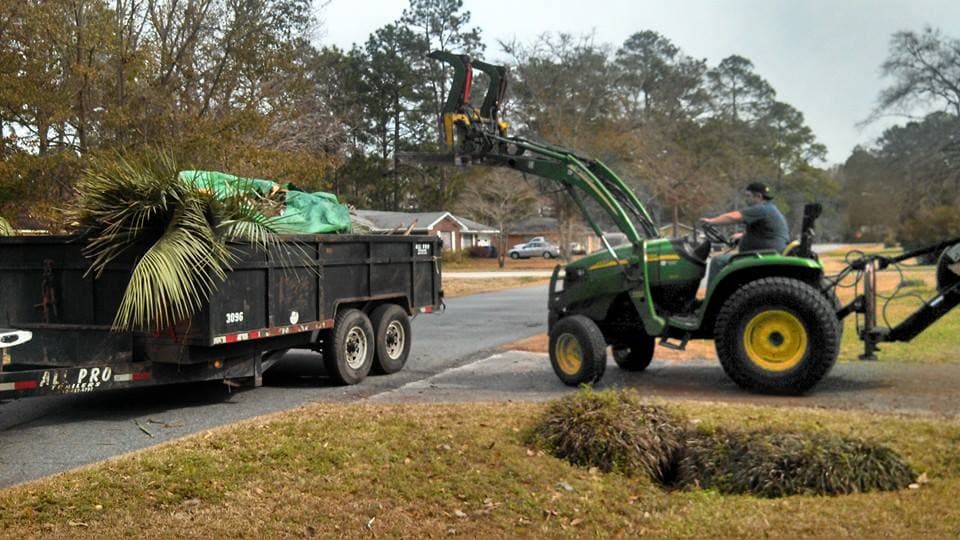Tree Trimming & Removal — Full-service tree pruning, limb removal, and complete take-downs for residential and small commercial properties.